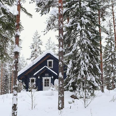 Ilmajarvi Cottage Руоколахти Экстерьер фото